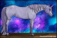 Horse Color:Watercolor Blue Roan Appaloosa