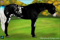 Horse Color:ERROR: UNKNOWN ANOMALY and ERROR: UNKNOWN ANOMALY