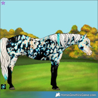 Horse Color:ERROR: UNKNOWN ANOMALY and ERROR: UNKNOWN ANOMALY
