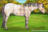 Horse Color:Smoky Black Appaloosa  and Nacre Plaid  Amber Champagne Ice 