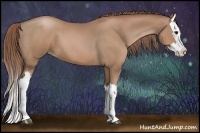 Horse Color:Chocolate Black Pearl Splash 