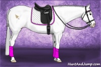 Horse Color:Black Chinchilla Appaloosa