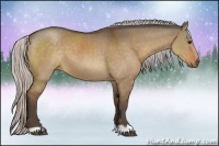 Horse Color:Silver Bay Dun