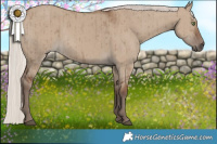 Horse Color:Silver Grullo Brindle 