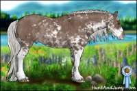 Horse Color:Liver Red Dun Mushroom Sabino Rabicano Brindle