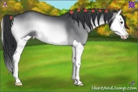 Horse Color:Brown Chinchilla Onyx Splash