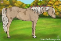 Horse Color:Palomino Ice 