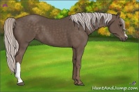 Horse Color:Silver Black 