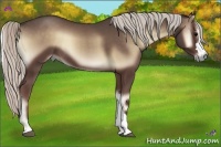 Horse Color:Silver Blue Onyx