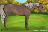 Horse Color:Silver Black 