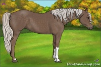 Horse Color:Silver Black 