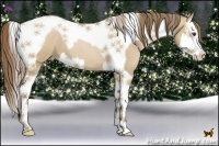 Horse Color:Grullo Pearl Splash Tobiano 