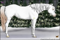 Horse Color:Brown Pearl Dun Splash Appaloosa 