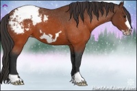 Horse Color:Brown Frame Appaloosa 