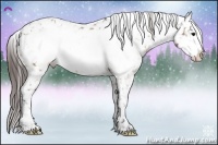 Horse Color:Brown Frame Snowflake VarnishRabicano 