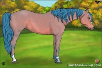 Horse Color:Watercolor Bay Sabino 
