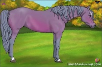 Horse Color:Watercolor Bay Sabino