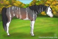 Horse Color:Brown Ice Splash 