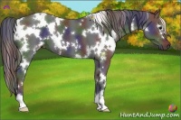 Horse Color:Nacre White Spotted Black 
