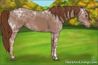 Horse Color:Chestnut Ice 