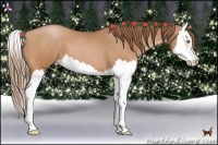Horse Color:Bay Pearl Splash 