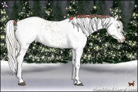 Horse Color:White Spotted Silver Bay Pearl Splash
