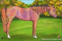 Horse Color:Nacre Watercolor Liver Chestnut 