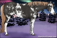 Horse Color:Liver Chestnut Sabino 