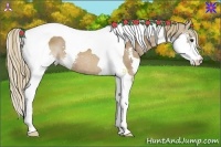 Horse Color:Chestnut Splash Tobiano