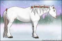 Horse Color:Brown Appaloosa