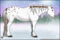 Horse Color:Brown Appaloosa