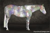 Horse Color:Nacre White Spotted Silver Black Chinchilla