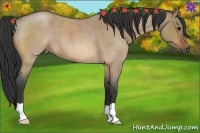Horse Color:Bay Roan Dun 