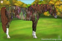 Horse Color:Red Ice Roan 