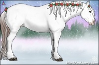 Horse Color:Brown Frame Appaloosa 