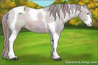 Horse Color:Nacre Bay Sabino Splash Tobiano Varnish 