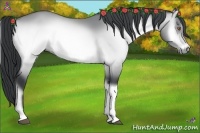 Horse Color:Bay Chinchilla Onyx 