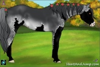 Horse Color:Brown Chinchilla Splash