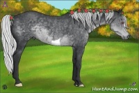 Horse Color:Silver Black Chinchilla