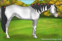 Horse Color:Classic Champagne Chinchilla Onyx 