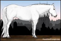 Horse Color:Gray Chestnut Sabino