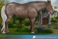 Horse Color:Liver Chestnut Mushroom Rabicano 