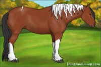 Horse Color:Bay Tobiano Rabicano 
