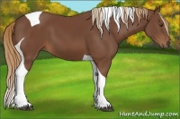 Horse Color:Chestnut Tobiano