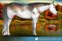 Horse Color:White Spotted Liver Red Onyx Sabino Splash 