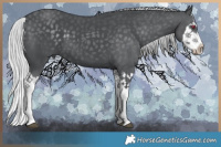 Horse Color:Silver Black Chinchilla Splash 