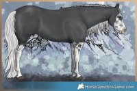 Horse Color:Silver Black Chinchilla Splash 