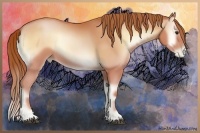 Horse Color:Bay Pearl Onyx 