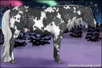 Horse Color:White Spotted Silver Black Chinchilla 