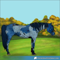 Horse Color:ERROR: UNKNOWN ANOMALY and ERROR: UNKNOWN ANOMALY